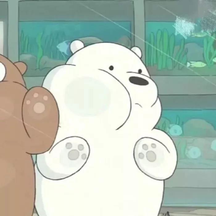 哈士奇|头像壁纸：裸熊、全球高考、国家队、二哈和他的白猫师尊、我的男票是锦衣卫