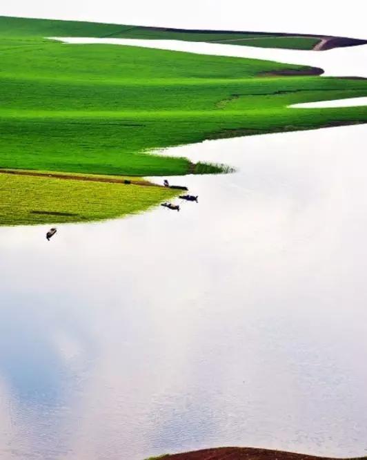 『鸭绿江』一条高颜值沿江公路，将迎来最适合自驾季节！赶紧纳入旅行清单！