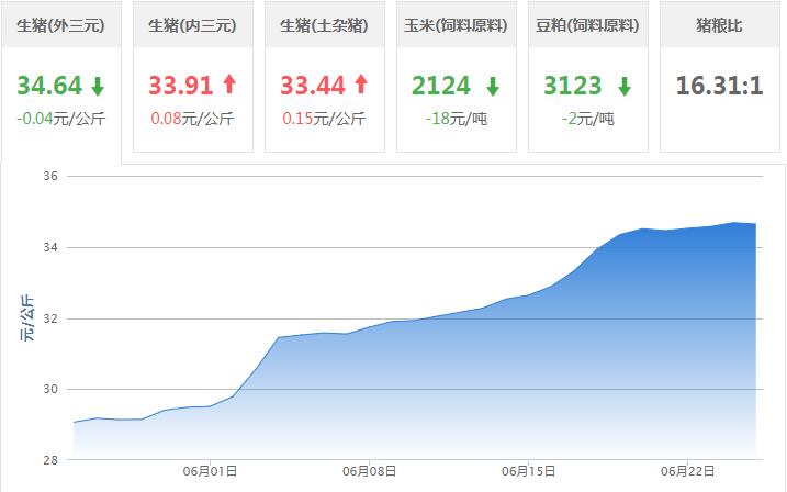 [生猪价格]屠企压价，猪价下跌！6月25日全国生猪价格涨跌表