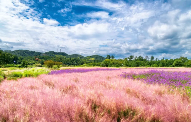 浙样的生活|官宣！杭州今日入秋！浙江这波雨啥时候停？