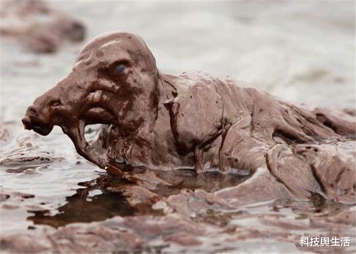 【科学家】200年后的地球是怎样的？看到模拟图后，科学家不淡定了！