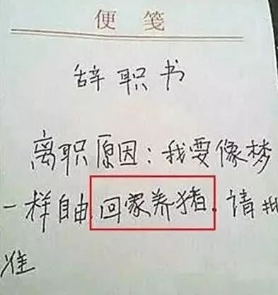 【】被公司劝退还要去上班？员工一句话让HR马上改变了主意