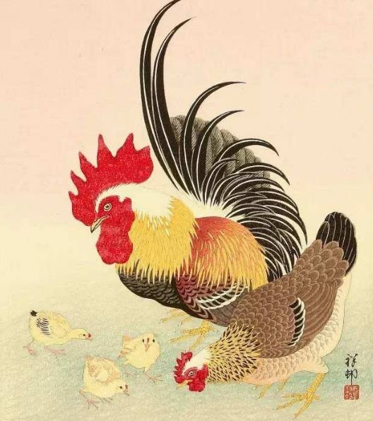 属鸡|生肖鸡，财神爷在召唤你，告诉你干什么最好一碰就发财