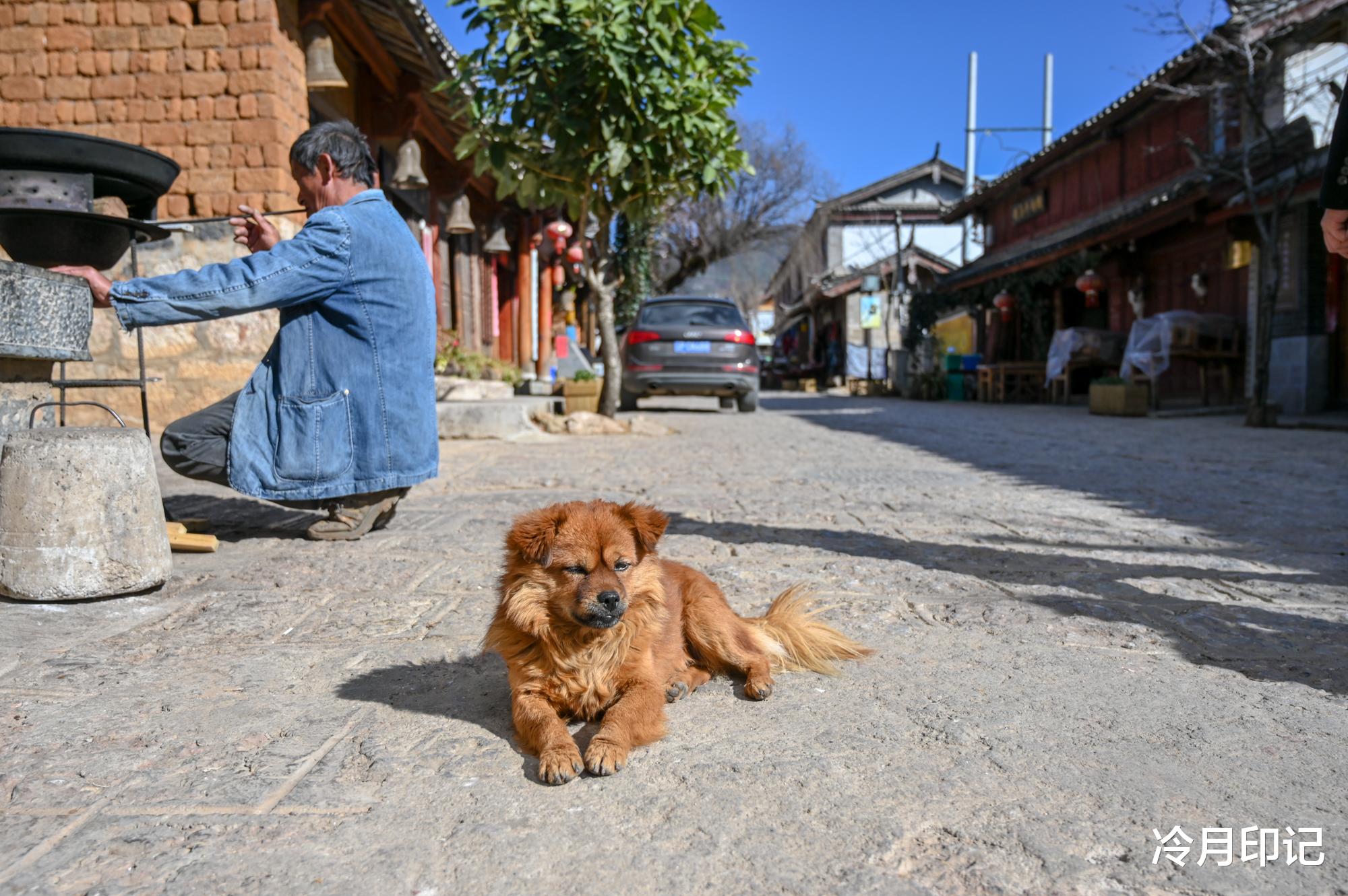 【古镇】中国最适合发呆的城市，环境干净景色美如画，去了就不想再走