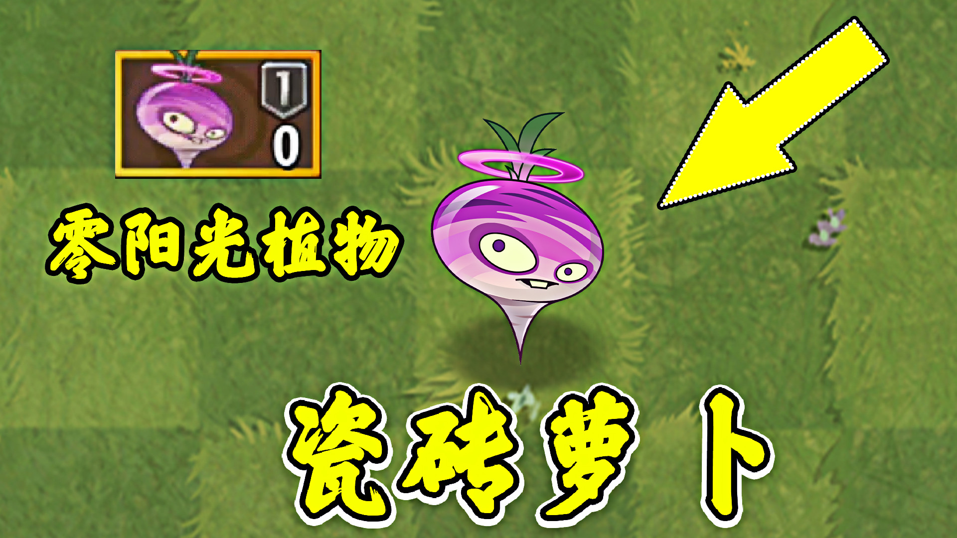 植物大战僵尸:零阳光的瓷砖萝卜,好不好用?