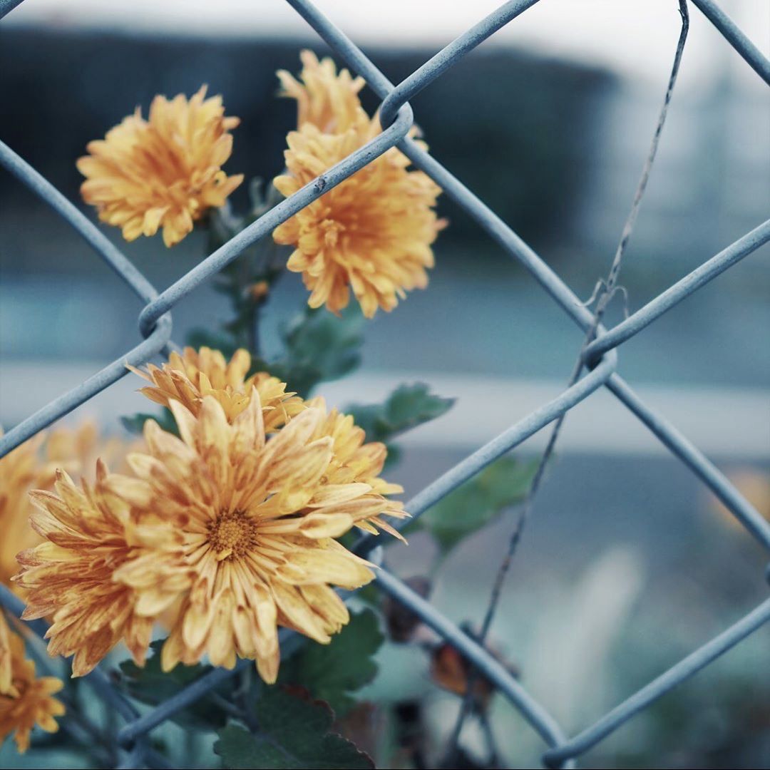 :日本主妇35岁年轻如20岁!从不爱整理到收纳上瘾!10年坚持“断舍离”,生活美成诗!