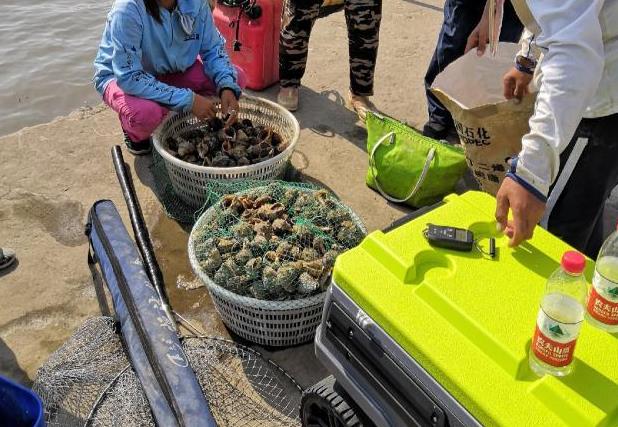 长江|一个小时，海螺摸了六斤多，海虹逮了六只，鲶逛才钓了一斤多