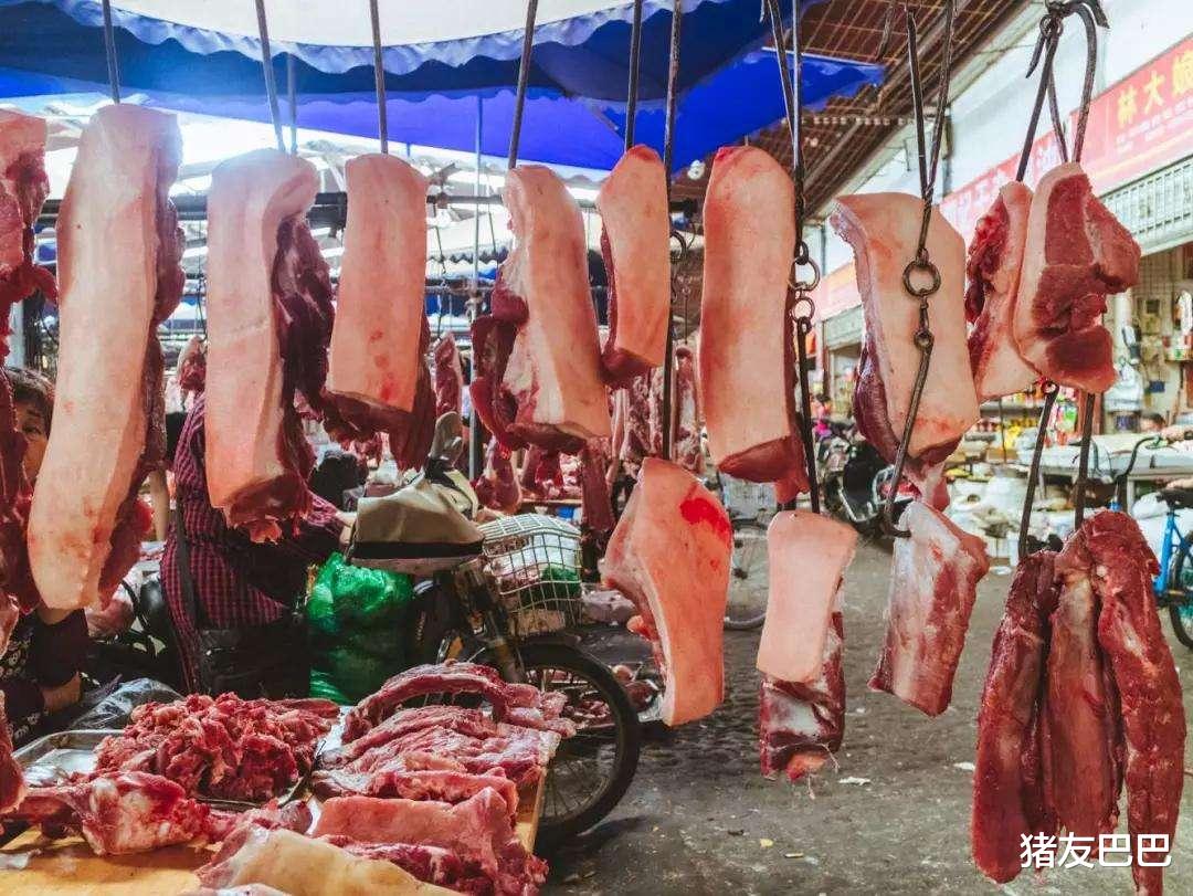 「生猪价格」下半年猪价行情如何？年底时补栏生猪还能赚钱吗？看完不纠结了！