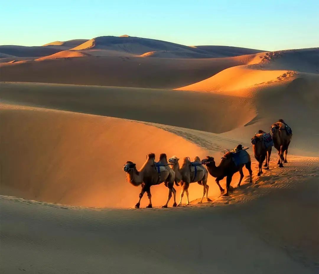 旅行|中国有多美？适合一个人的旅行清单