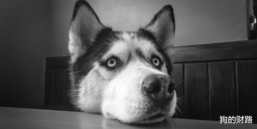 牛市@判断市场的底部和顶部区域——十年一梦，赌最大的一轮牛熊