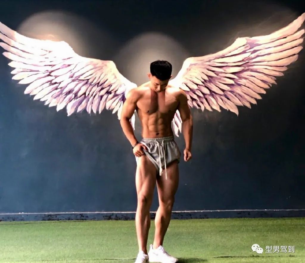 健身|杭州肌肉胸毛哥走红,正太脸金刚身太可了