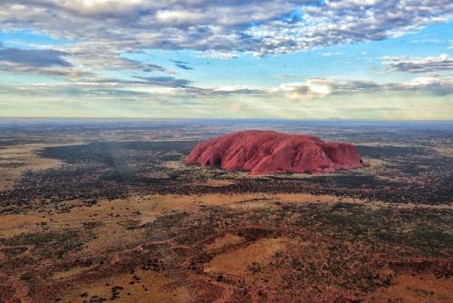 澳洲@澳洲无情的大火，导致10亿数量的动物死亡，现在恢复得怎样了？