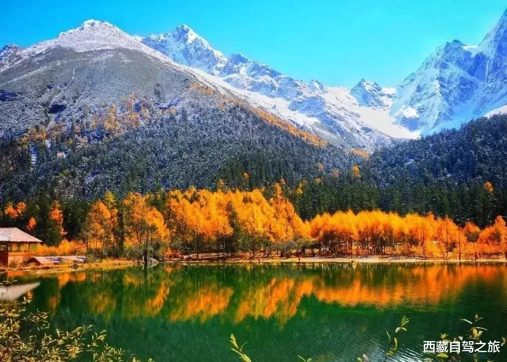 若尔盖|景 | 再过一个月，来看世间醉美的秋天！