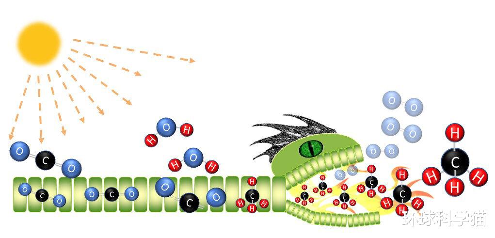 甲烷|甲烷排放创新高，每年增加5000万吨！研究者：少吃肉，少开车