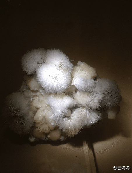 「长沙」长沙13个免费旅游景点，个个精心挑选，五一陪孩子好好玩尽兴