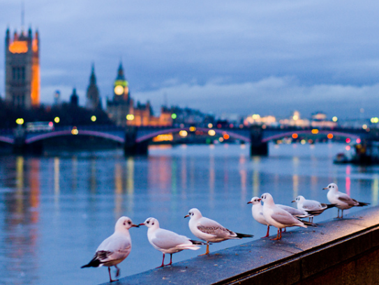 「吉星」下个月鸿运当头照，4属相好运到，吉星照耀，喜事接二连三
