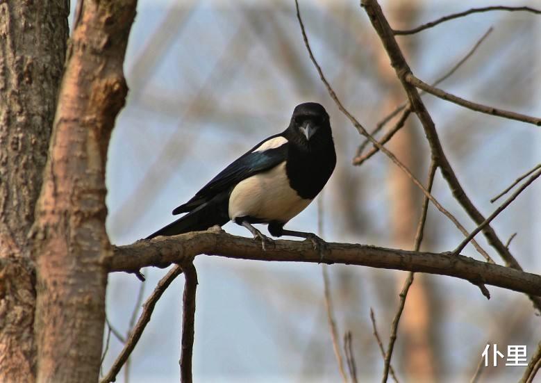 『生肖』6月上旬有偏财运，这些生肖的人容易买彩票中大奖