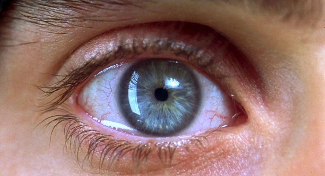 卢卡斯|这9部电影，敢看第2遍的人，内心都极其强大