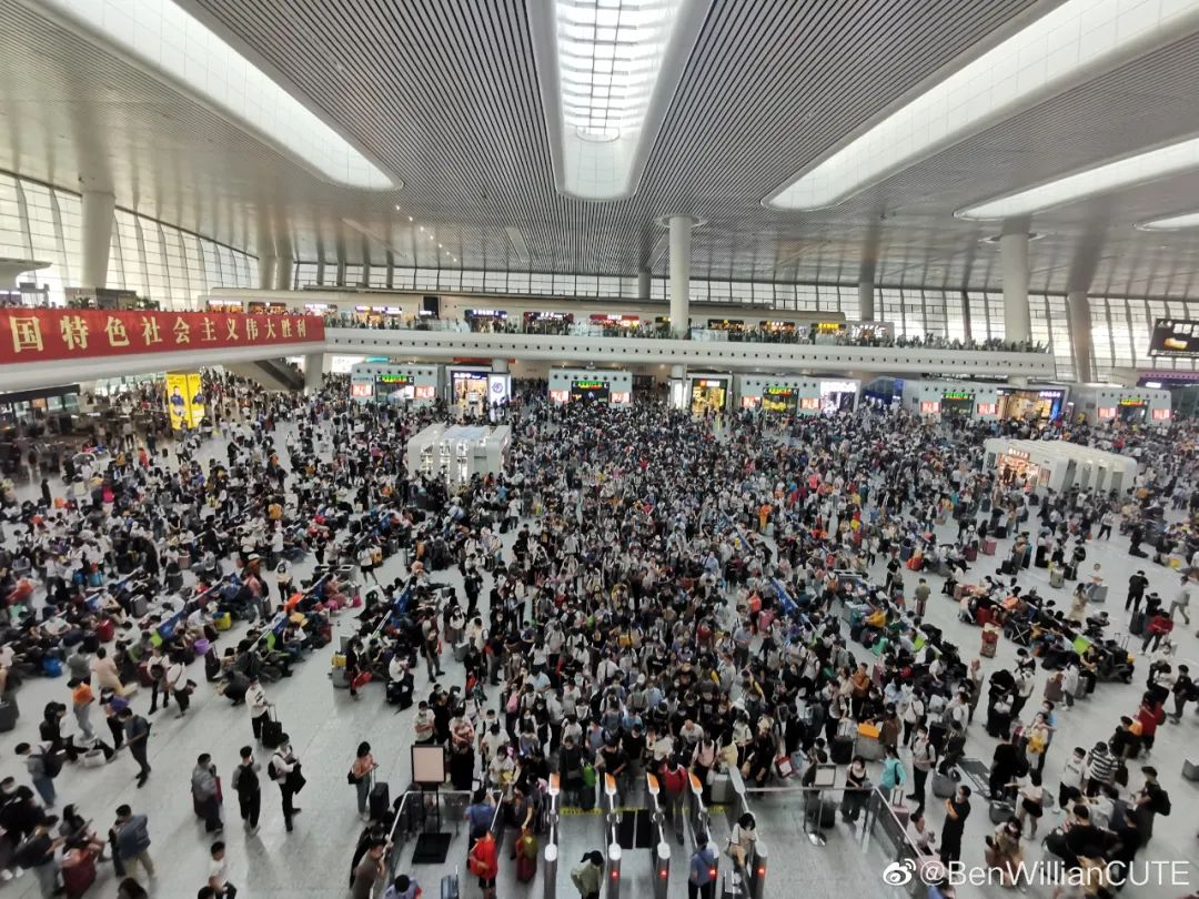 西湖|人山人海中，小学生蹲西湖边写作文，理由亮了！