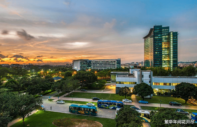 芯片|做出选择？国际芯片组织将从美国撤离，美媒：该好好反省了