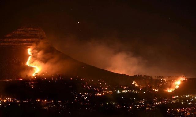 野火难烧尽，火后砍伐树木对森林会有什么影响？