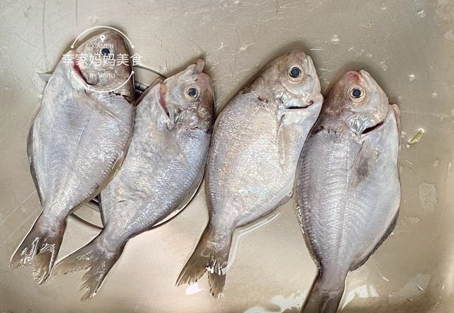 海鱼|菜市场碰到2种鱼,再便宜也不要买,为了家人健康看看