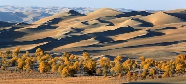 九寨沟|中国塔卡拉玛干沙漠,人们究竟做了什么,让它变成了神奇的绿洲