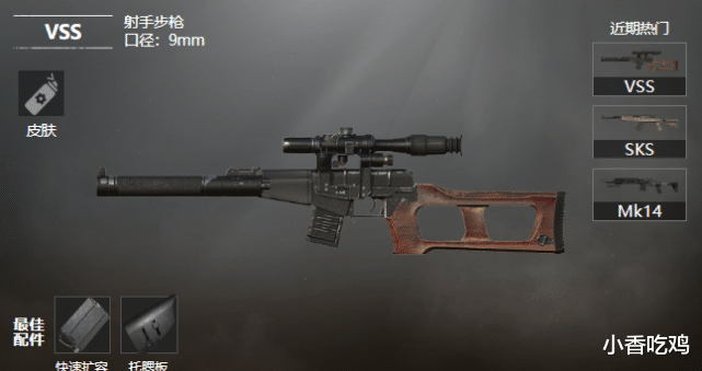 #和平精英#和平精英:VSS为什么能留这么久?王牌玩家笑了,给98K都不换