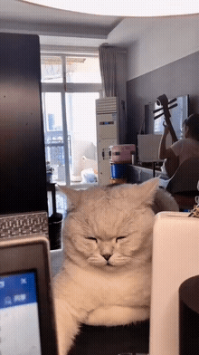 |弟弟的女同学才刚上初一，就已经这么早熟了？哈哈哈哈哈