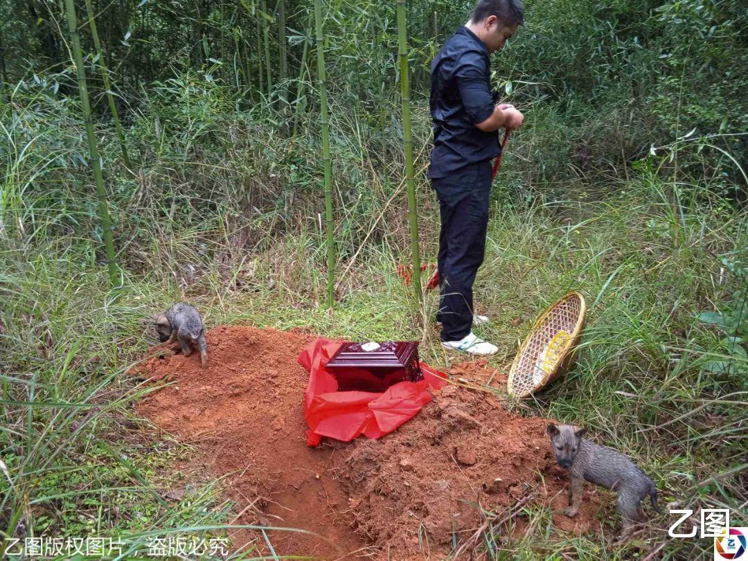 大v|大货车司机带儿子骨灰回家，称葬在爷爷奶奶身边，自己很放心