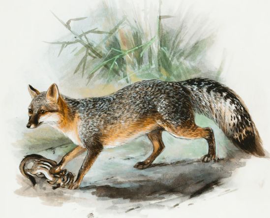 「郭嵩焘」中国人不可破的10条天规，太多人后悔知道的太晚！