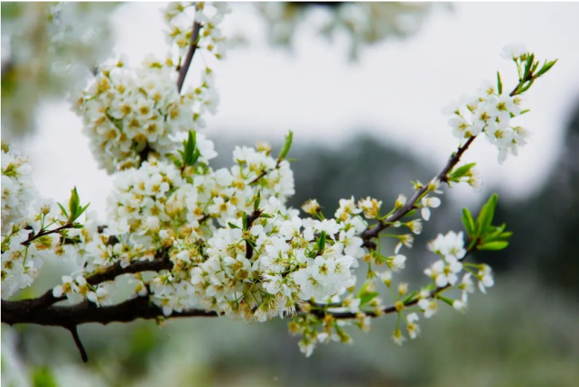 宁夏大学@我国“容易考”的3所211大学,录取分数线低,考上是很有福气的