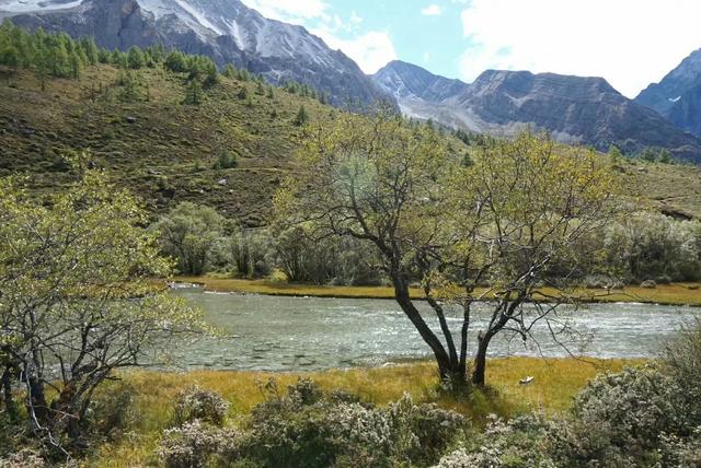 「稻城亚丁」稻城亚丁，一个去了会后悔的地方，我再也不会去