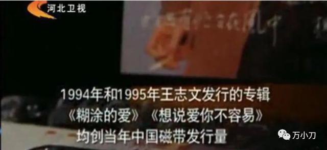 『王志文』“芳心纵火犯”猎艳手册