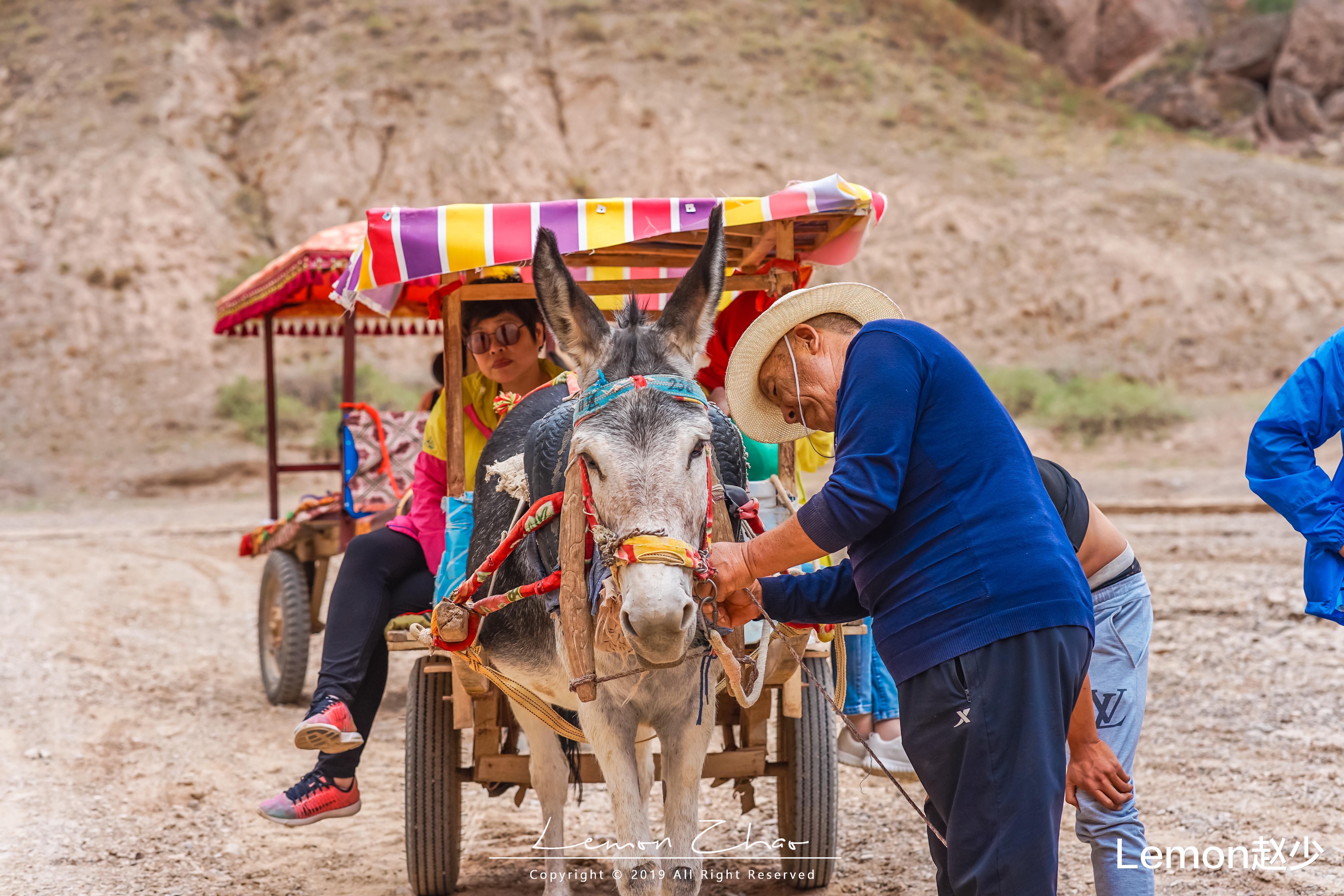 自驾|国庆自驾“大西北”热度暴涨，成新晋黑马！这三个景点一定要去
