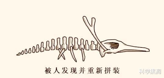 水底奥秘|龙会不会一直藏身在深海，所以直到现在都没有被人发现？