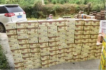 沈阳晚报|男子买“网红坚果”，牵出千万大案！每天发出上千单，很多人爱吃