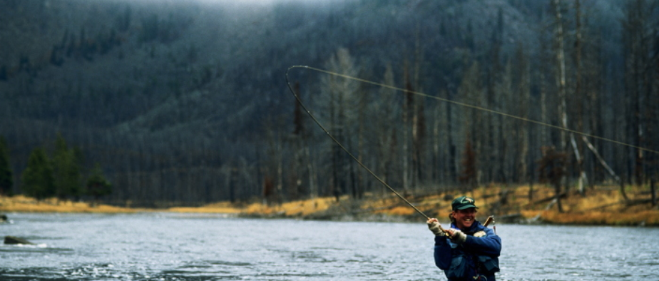 |飞蝇钓飞钓,飞蝇钓饰带,Fly Fishing Streamers