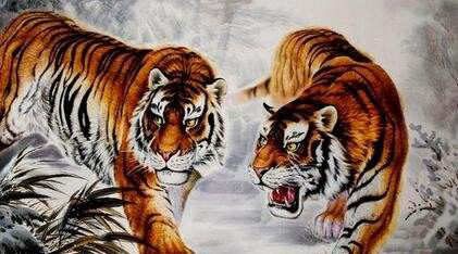 『天秤座』家有虎朋友的快接住：有“好事”降临，不接不吉利