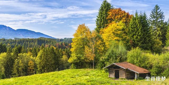 生肖▲下个月，旧人徘徊，前缘未了，3生肖缘分桃花灿烂依旧，爱情苏醒