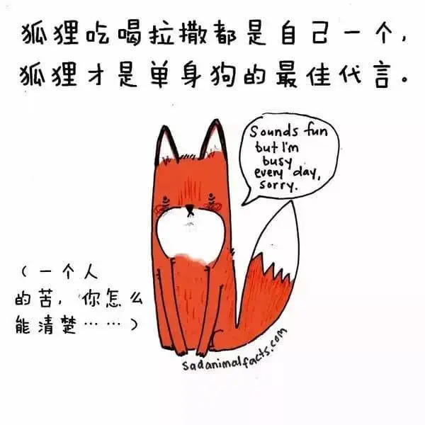 动物冷知识|这些动物冷知识,能知道五个就是大神了吧?