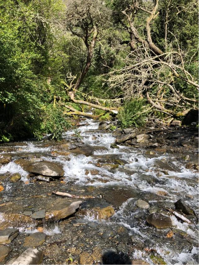 四姑娘山■美丽的四姑娘山