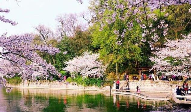 @全球“最美”的几个公园，有一个在中国，不知大家来过几个