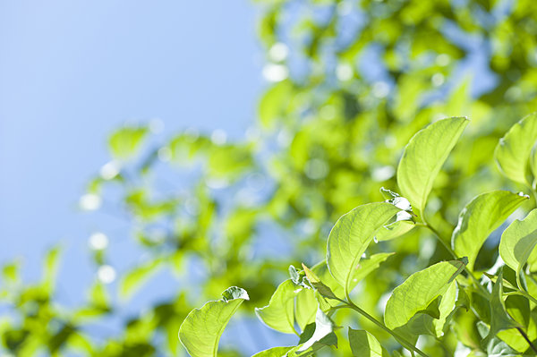 #鼻炎#医生告诉你：鼻炎就是这么治好的