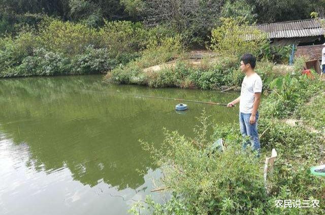 结婚|农村“单身狗”天天钓鱼，不考虑娶老婆了？