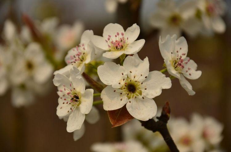 生肖|9月下旬，月老牵姻缘线，桃花朵朵爱情到，终于要脱单的四生肖！