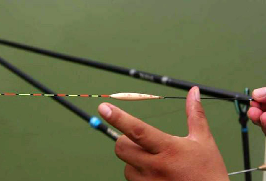 饵料|新手想学钓鱼,听听老钓鱼人总结的五条野钓经验,少走弯路