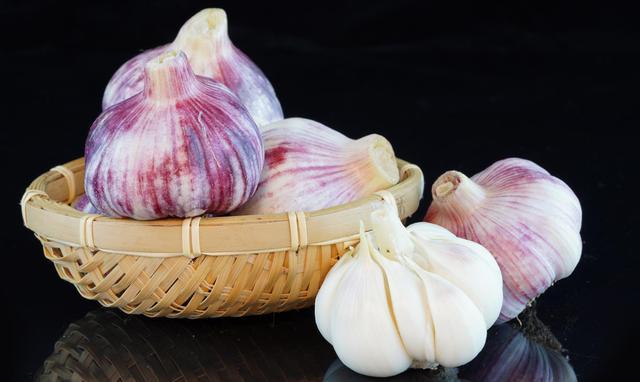 |什么物质可以提高鱼的食欲?几种钓鱼效果不错的鱼类促食剂