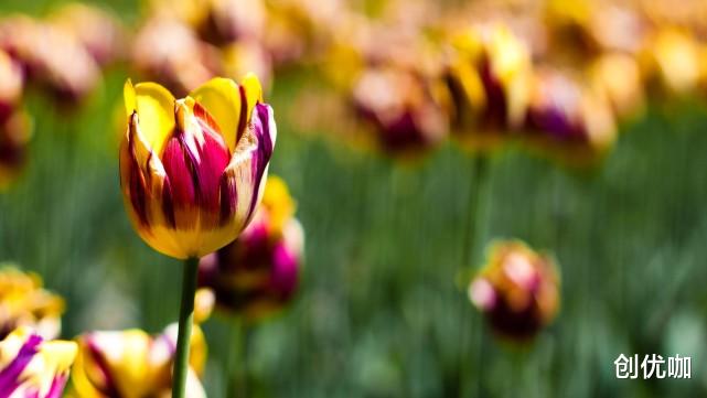 占有欲|爱情中，占有欲最强的3个星座，喜欢吃醋，而且反应较大