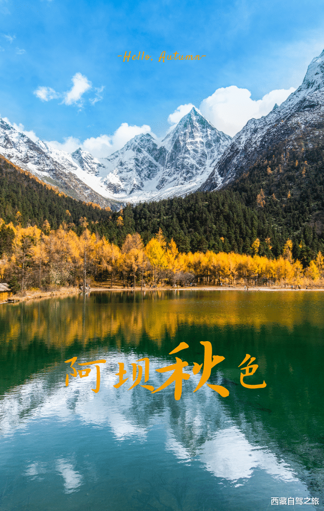 若尔盖|景 | 再过一个月，来看世间醉美的秋天！